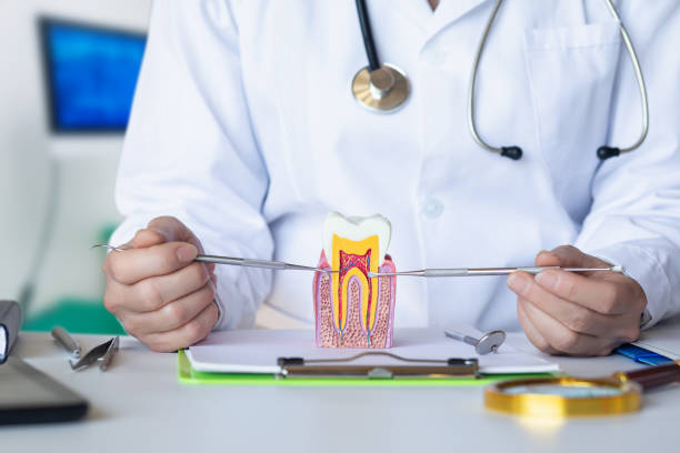 Best Emergency Treatment for Dental Infections or Abscesses in Agua Dulce, TX